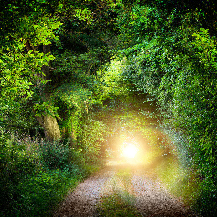 Waldweg mit Licht am Ende des Tunnels